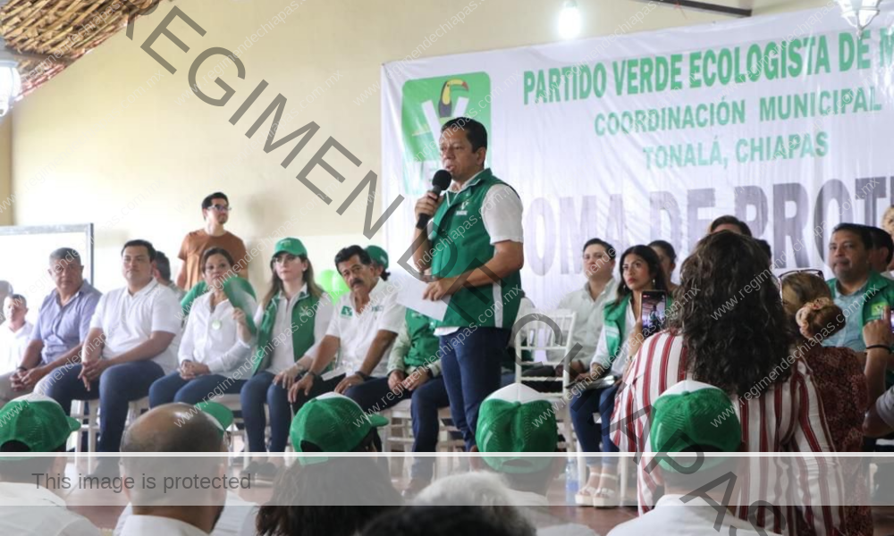 Defender al pueblo de Chiapas en la máxima tribuna es mi prioridad: Llaven Abarca