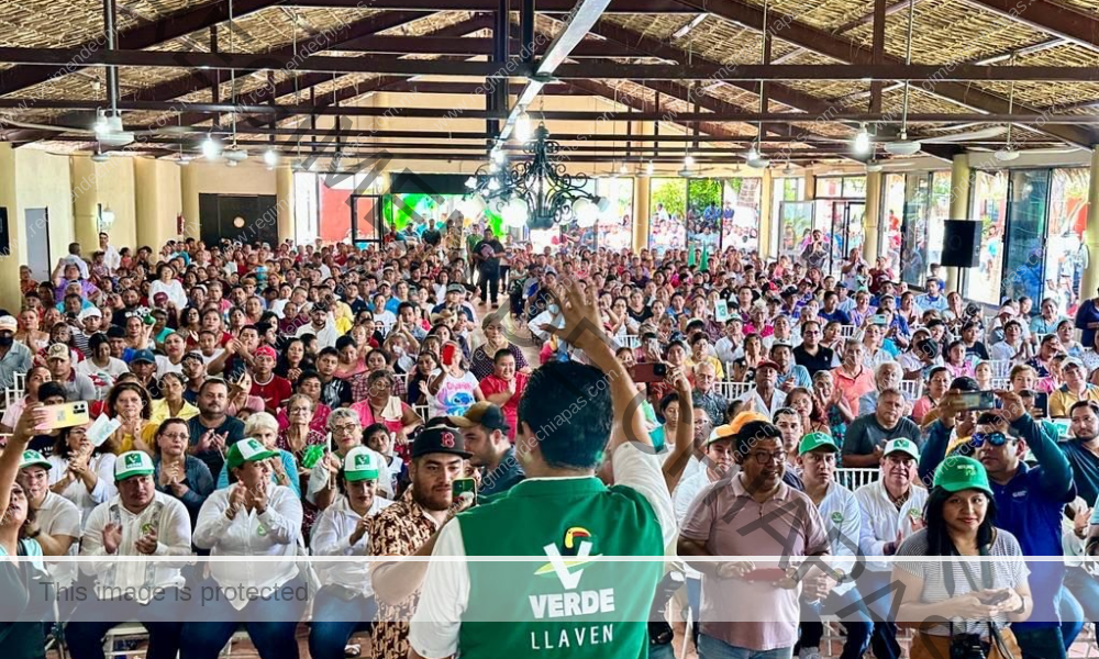Defender al pueblo de Chiapas en la máxima tribuna es mi prioridad: Llaven Abarca