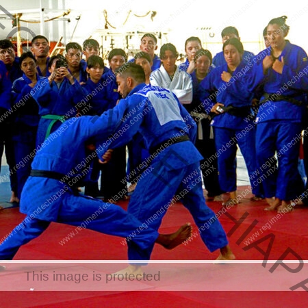Seminario de Judo