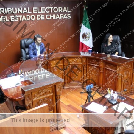 Tribunal Electoral VPEG