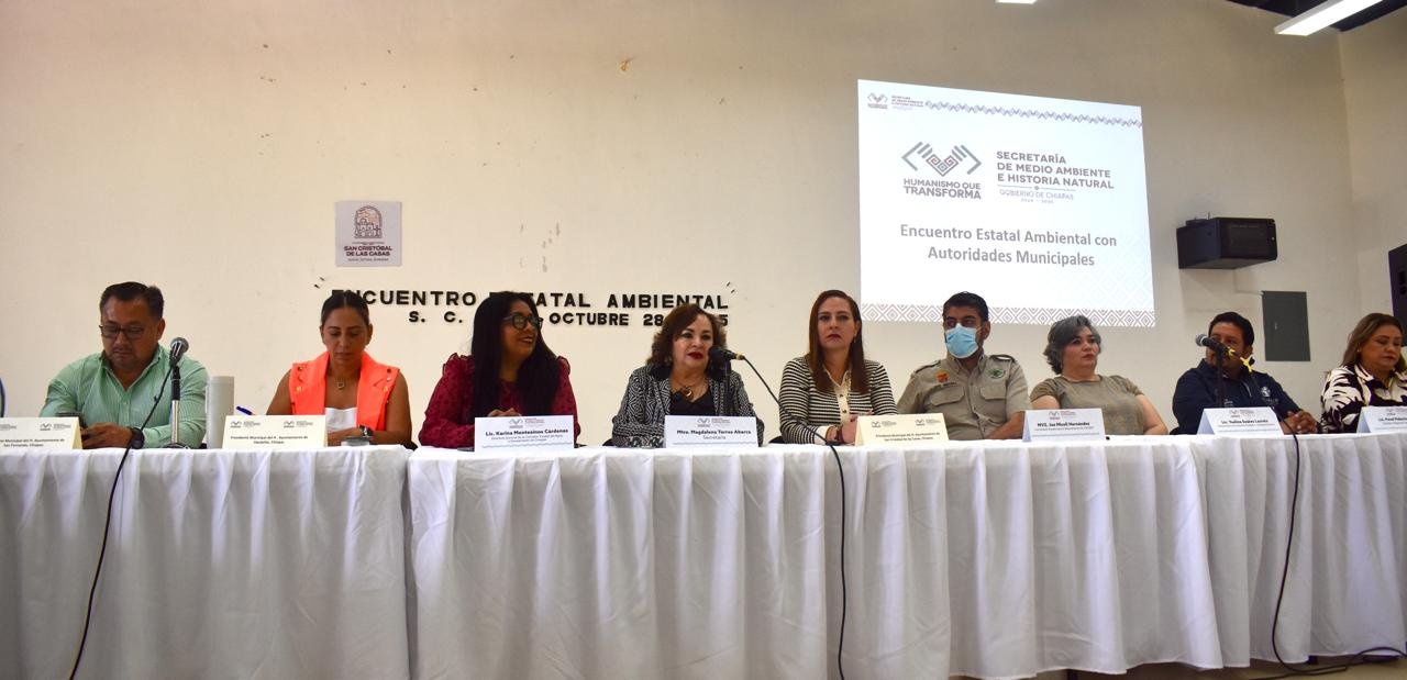 WhatsApp Image 2025 10 28 at 8.25.14 PM