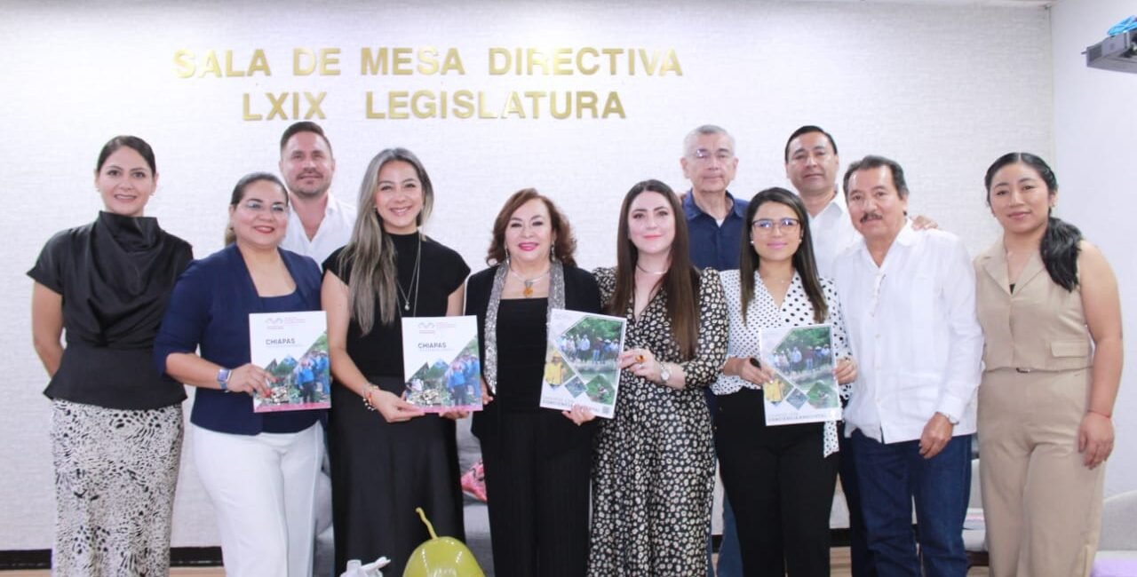 WhatsApp Image 2025 12 15 at 2.40.18 PM