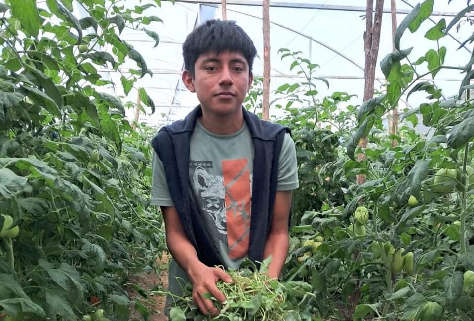 FOTOS CECYTECH00002 2 e1768322637185