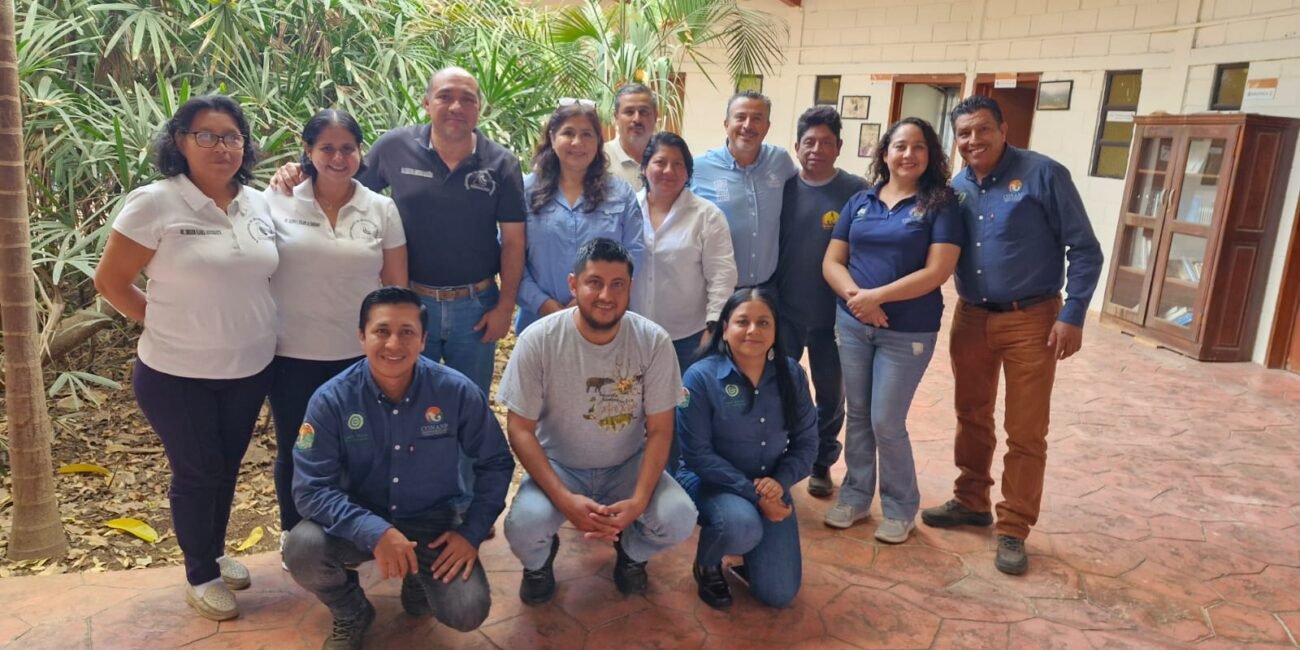 WhatsApp Image 2026 02 17 at 4.15.39 PM