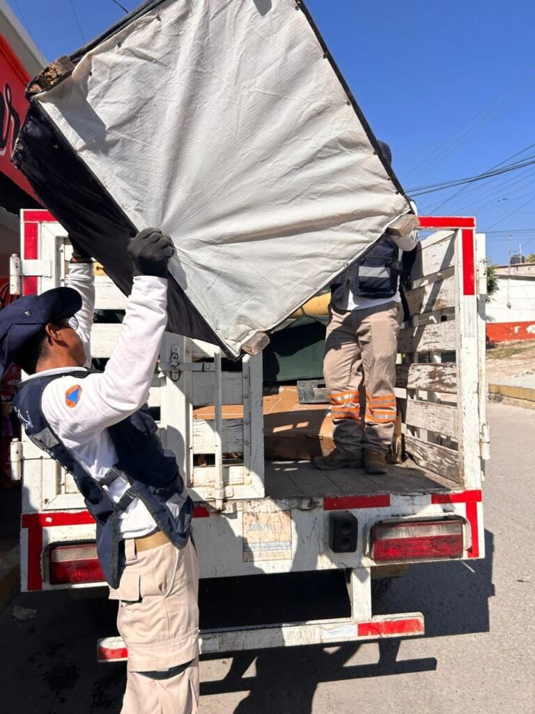 WhatsApp Image 2026 02 20 at 8.24.45 PM 1