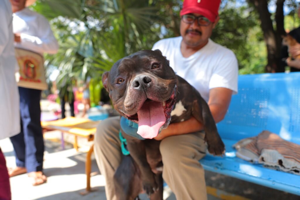 ¿Conoces el Programa Chucho Móvil? 1 WhatsApp Image 2026 02 24 at 9.31.50 PM 1