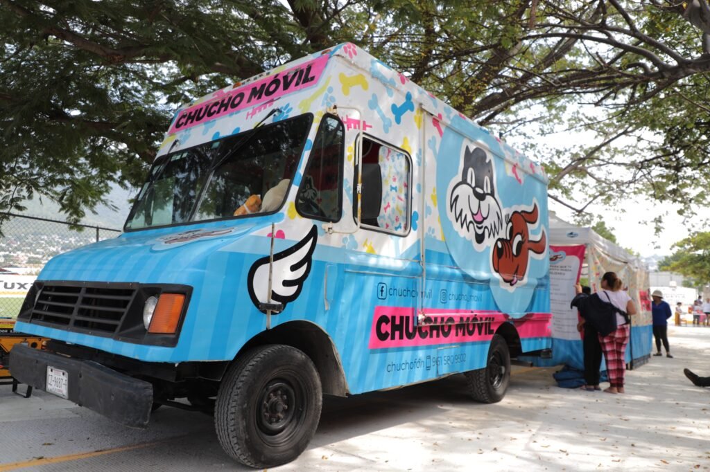 ¿Conoces el Programa Chucho Móvil? 2 WhatsApp Image 2026 02 24 at 9.31.51 PM