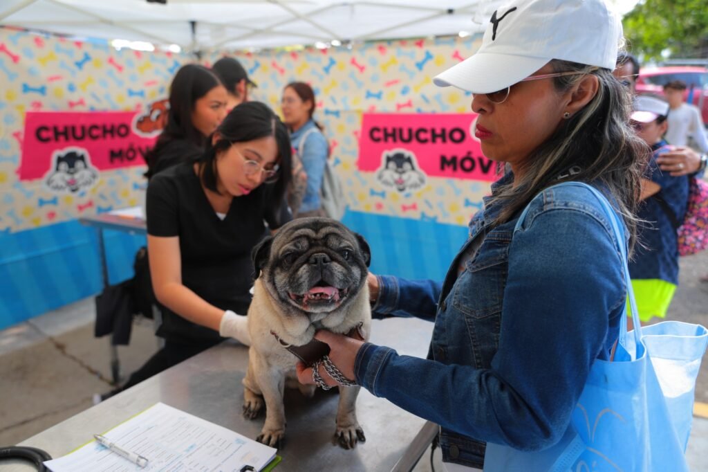 ¿Conoces el Programa Chucho Móvil? 3 WhatsApp Image 2026 02 24 at 9.31.52 PM