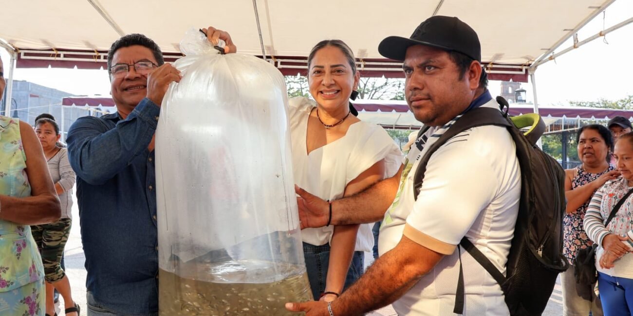 648356827 1608202884425418 3435812407451857795 n