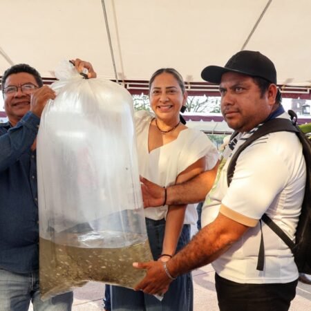 648356827 1608202884425418 3435812407451857795 n