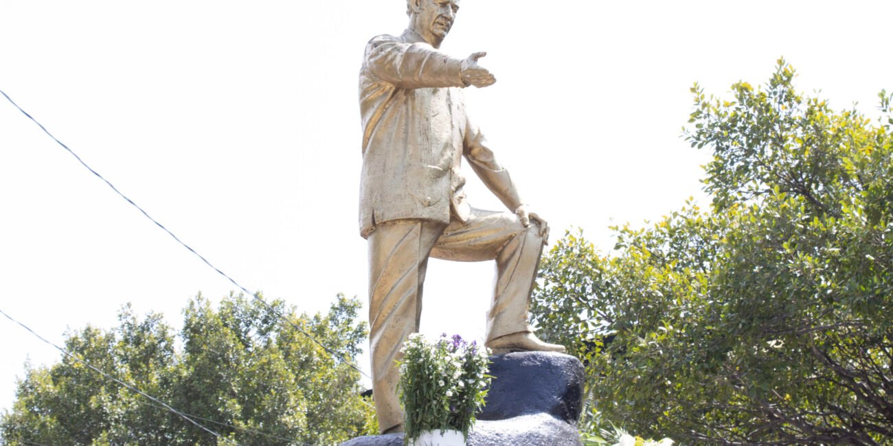 IMG 6329 scaled e1772553603895