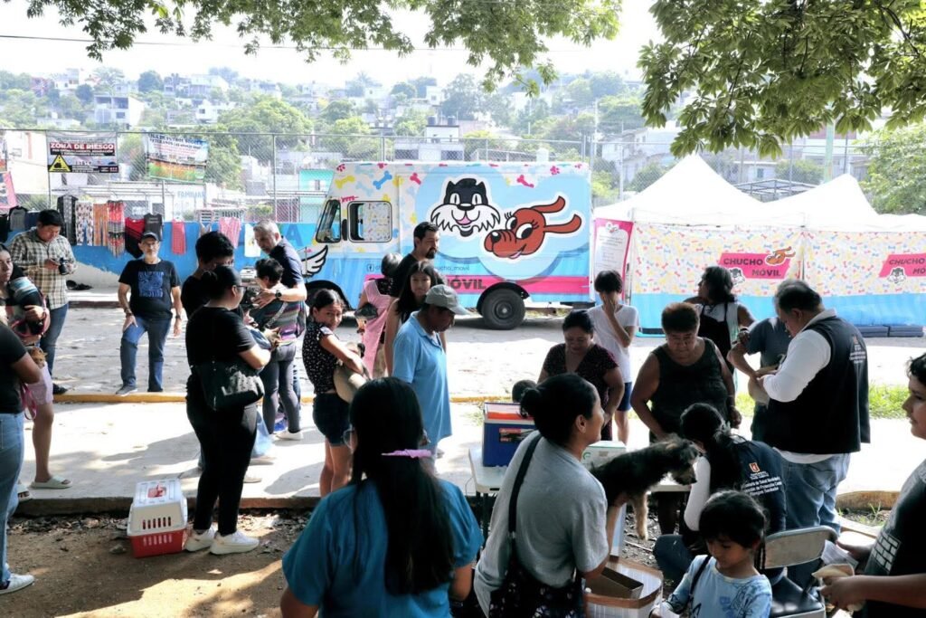 WhatsApp Image 2026 03 02 at 11.43.07 AM 1