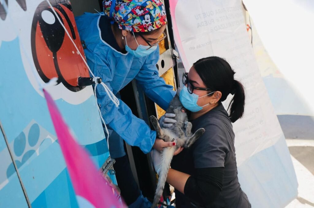 WhatsApp Image 2026 03 02 at 11.43.09 AM