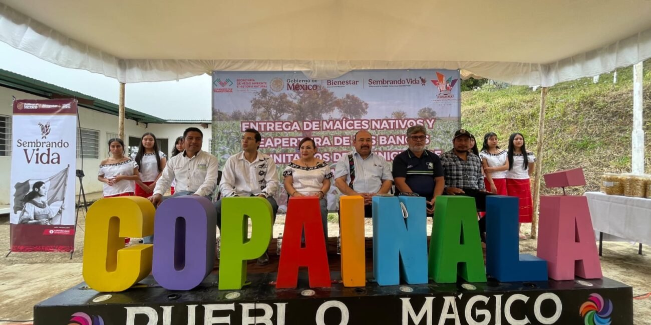 WhatsApp Image 2026 03 04 at 3.02.20 PM