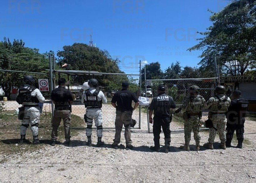 WhatsApp Image 2026 03 09 at 11.02.15 AM