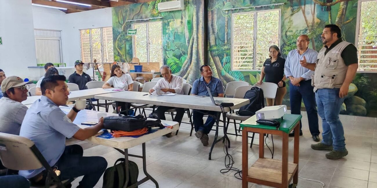 WhatsApp Image 2026 03 13 at 12.12.13 PM