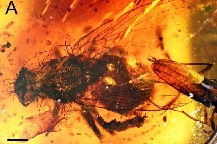 WhatsApp Image 2026 03 13 at 3.04.12 PM