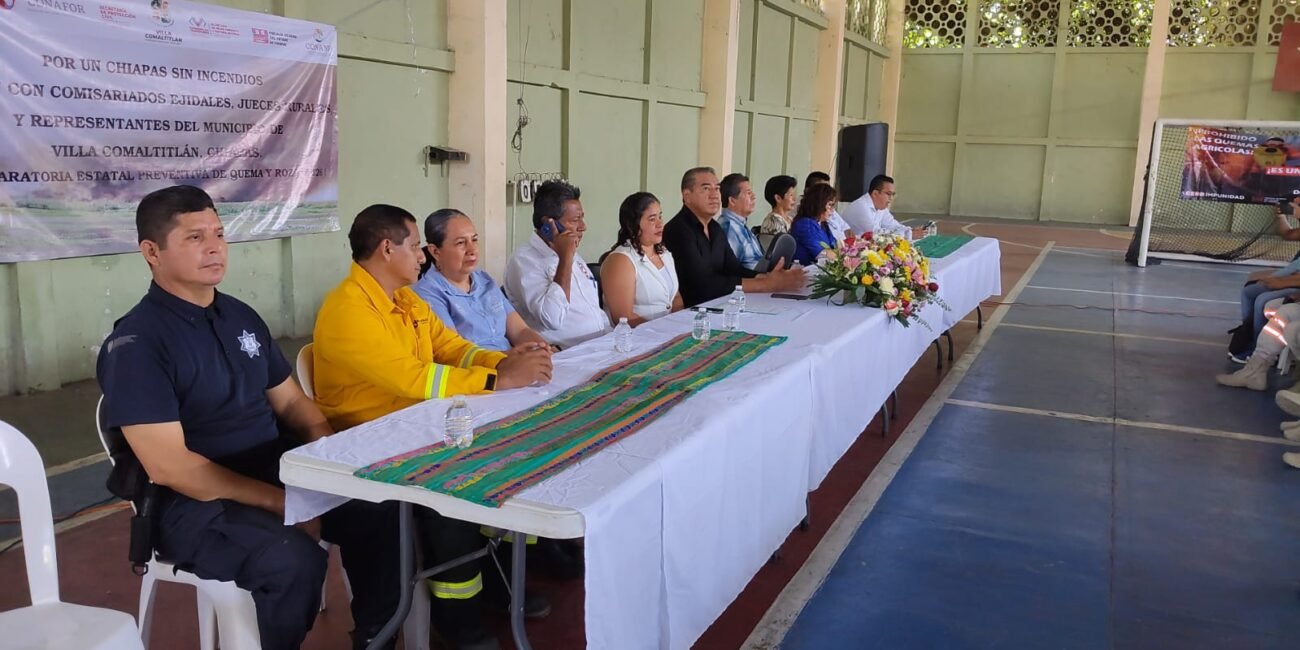 WhatsApp Image 2026 03 18 at 2.00.54 PM