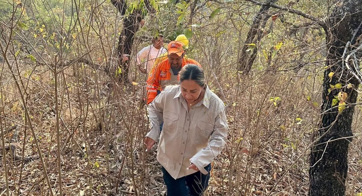 Yaneth Chiu destaca coordinación institucional para el control de incendios en Jiquipilas WhatsApp Image 2026 03 22 at 9.50.45 PM