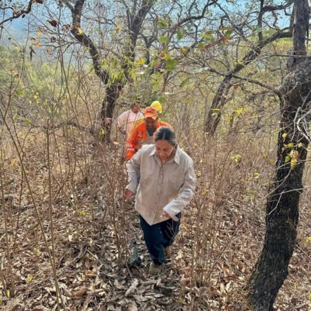 WhatsApp Image 2026 03 22 at 9.50.45 PM