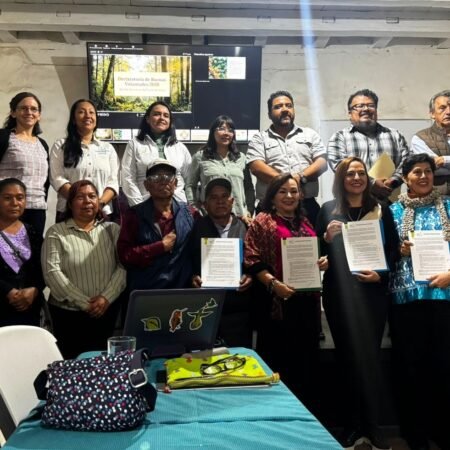 WhatsApp Image 2026 03 23 at 10.26.16 AM