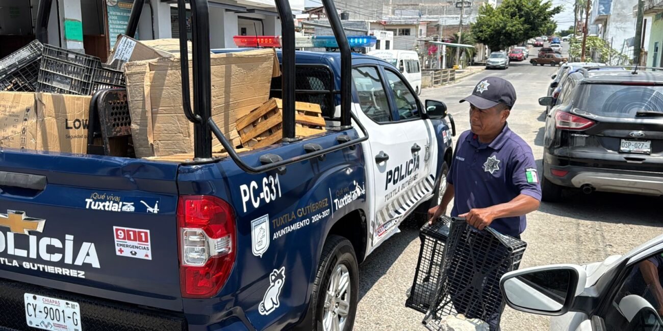 WhatsApp Image 2026 03 26 at 8.22.29 PM