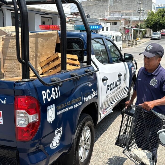 WhatsApp Image 2026 03 26 at 8.22.29 PM