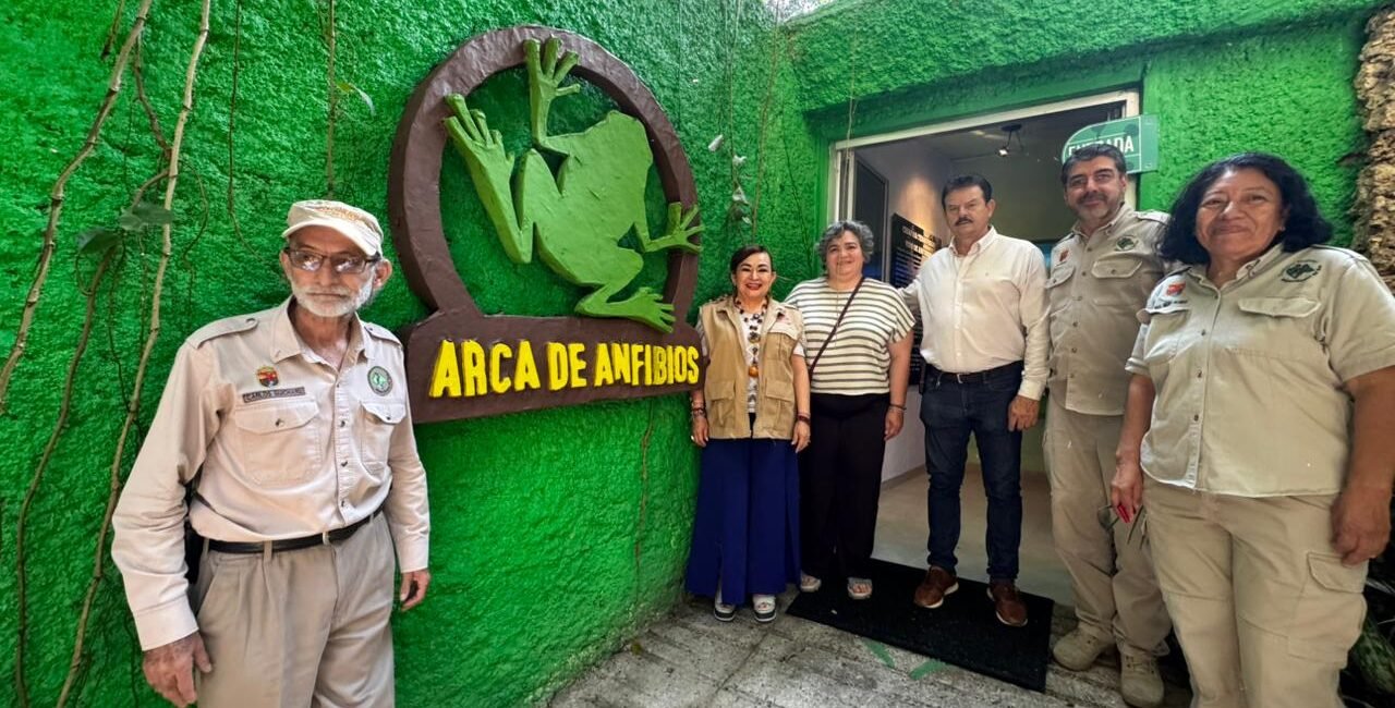 WhatsApp Image 2026 04 01 at 9.34.43 AM