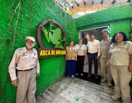 WhatsApp Image 2026 04 01 at 9.34.43 AM