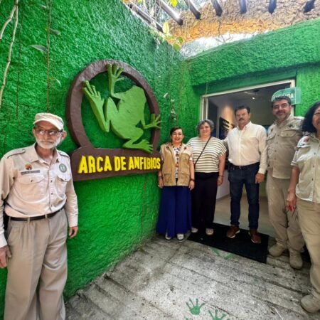 WhatsApp Image 2026 04 01 at 9.34.43 AM