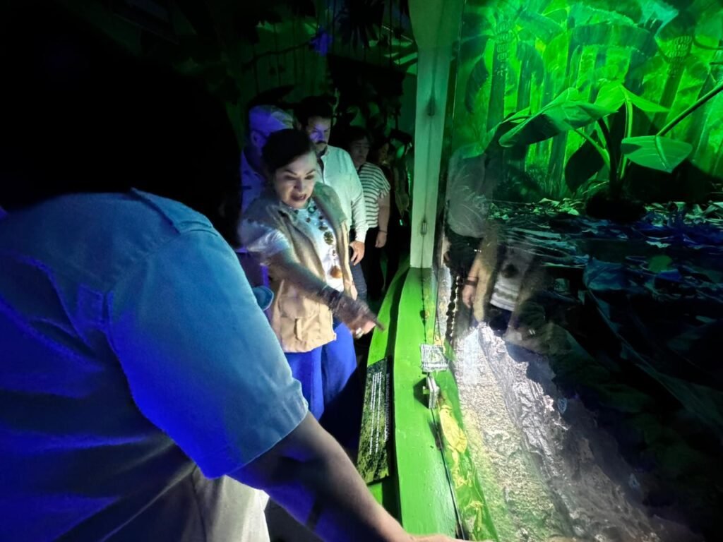 WhatsApp Image 2026 04 01 at 9.34.44 AM