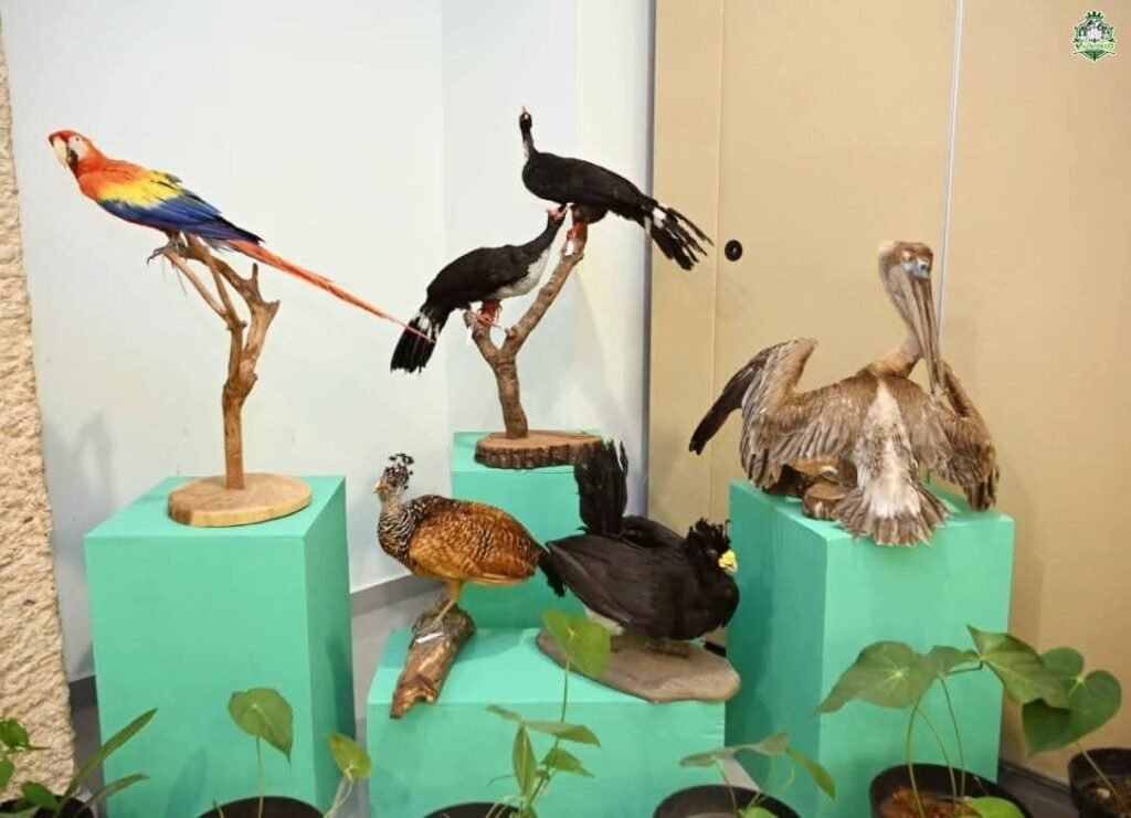 𝗔𝗹𝗰𝗮𝗹𝗱𝗲 𝗜𝗴𝗻𝗮𝗰𝗶𝗼 𝗡𝗮𝗴𝗮𝘆𝗮 𝗽𝗮𝗿𝘁𝗶𝗰𝗶𝗽𝗮 𝗲𝗻 𝗙𝗲𝘀𝘁𝗶𝘃𝗮𝗹 𝗖𝗵𝗶𝗮𝗽𝗮𝘀 𝗕𝗶𝗿𝗱𝗶𝗻𝗴: 𝗧𝘂𝗿𝗶𝘀𝗺𝗼 𝗱𝗲 𝗡𝗮𝘁𝘂𝗿𝗮𝗹𝗲𝘇𝗮 3 WhatsApp Image 2026 04 15 at 10.30.50 PM