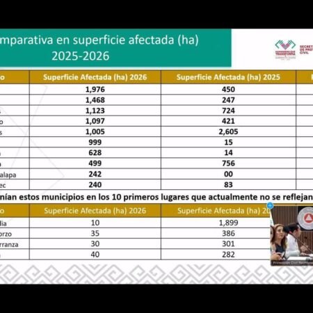 WhatsApp Image 2026 04 20 at 8.45.11 PM 1