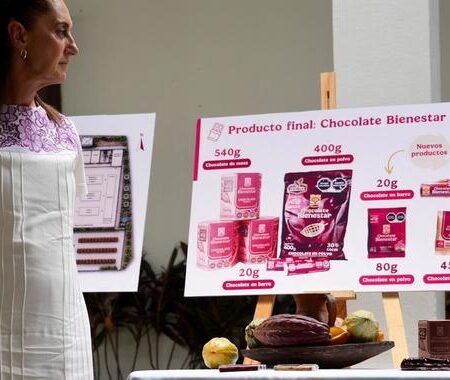 Presidenta anuncia proyecto Precio justo para el cacao de Tabasco impulsara produccion y exportacion de Chocolate Bienestar