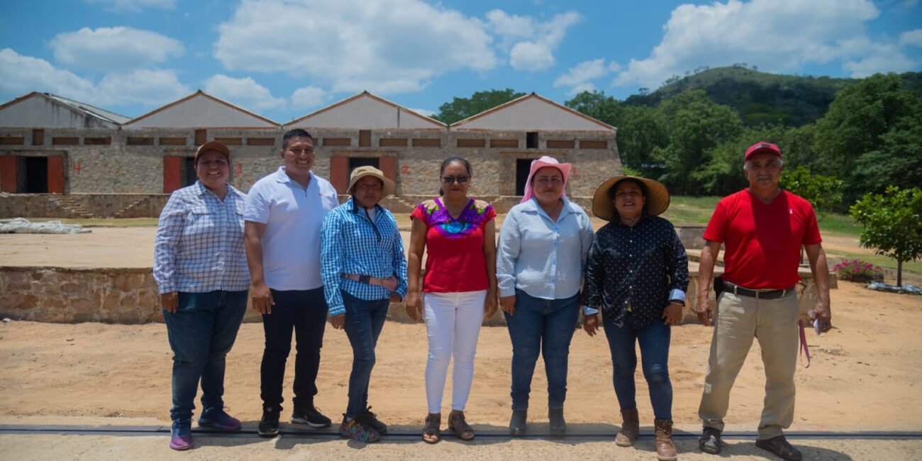 Alimentación para el Bienestar logra el mayor acopio de maíz de los últimos siete ciclos agrícolas