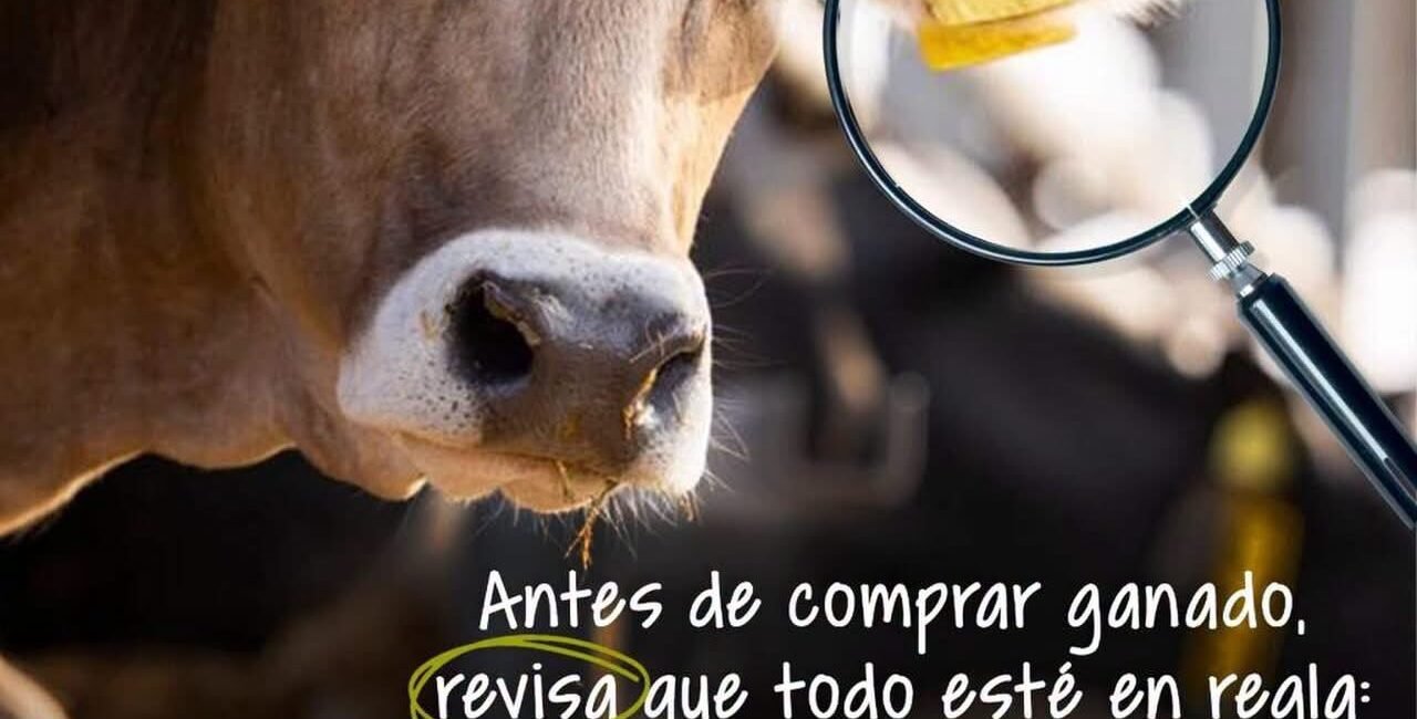 Llama Óscar Aparicio a verificar la legal procedencia del ganado para prevenir el abigeato